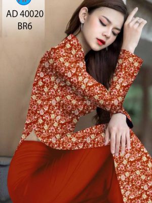 1622101537 380 vai ao dai (12)